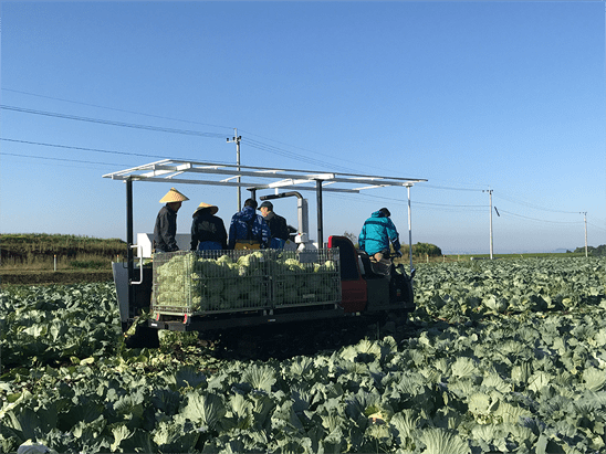 野菜生産事業